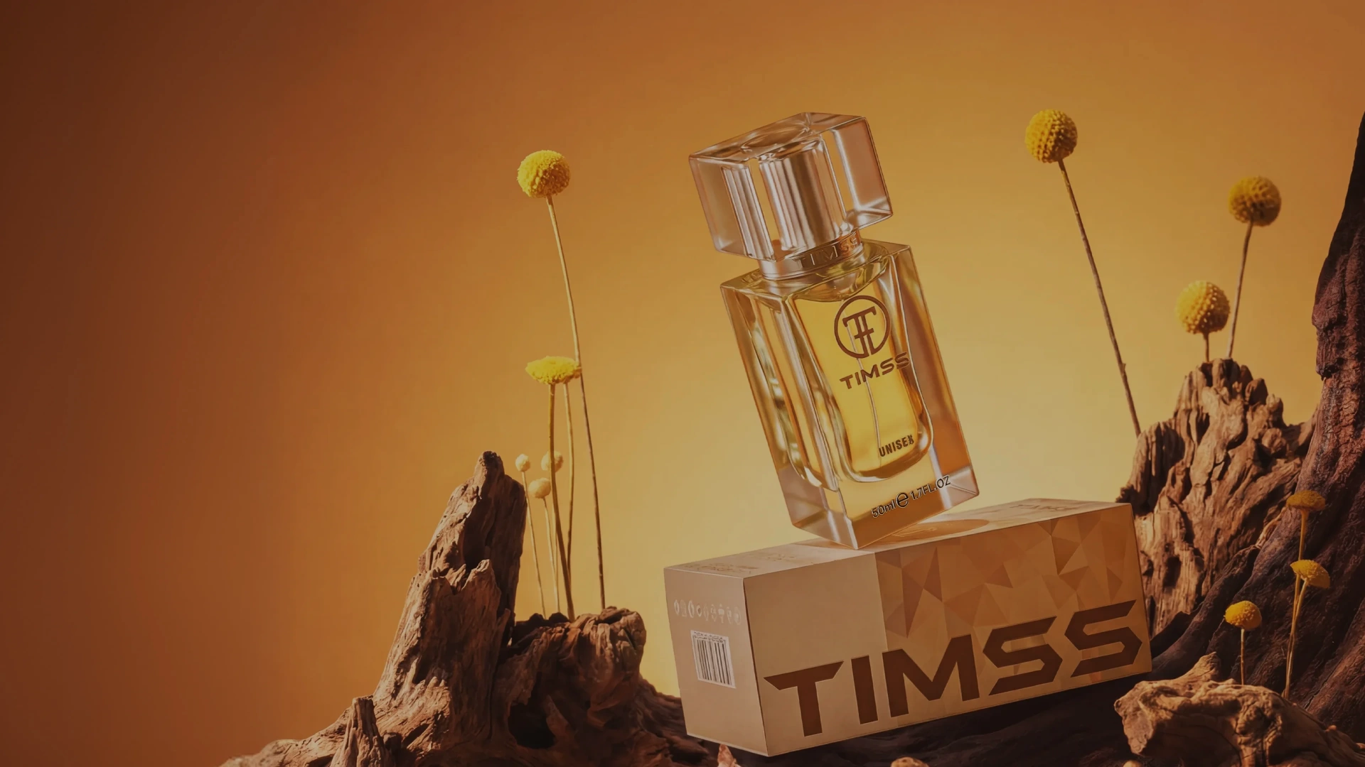 Timss